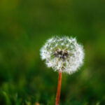 3D彩票开奖全程高清直播,实时见证中奖时刻 9i4b3pdpn2