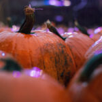 3D彩票第179期历史开奖号码详细回顾与数据分析 f1rg5p