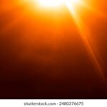 3d最早开奖结果查询与历史数据全面分析 rozyr1