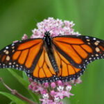 3D彩票开奖走势图全面解析与最新数据 vf12q